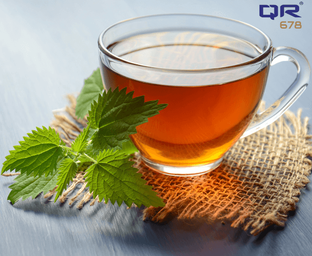 Green Tea for Hair: Unlocking Its Powerful Benefits for Healthy Locks