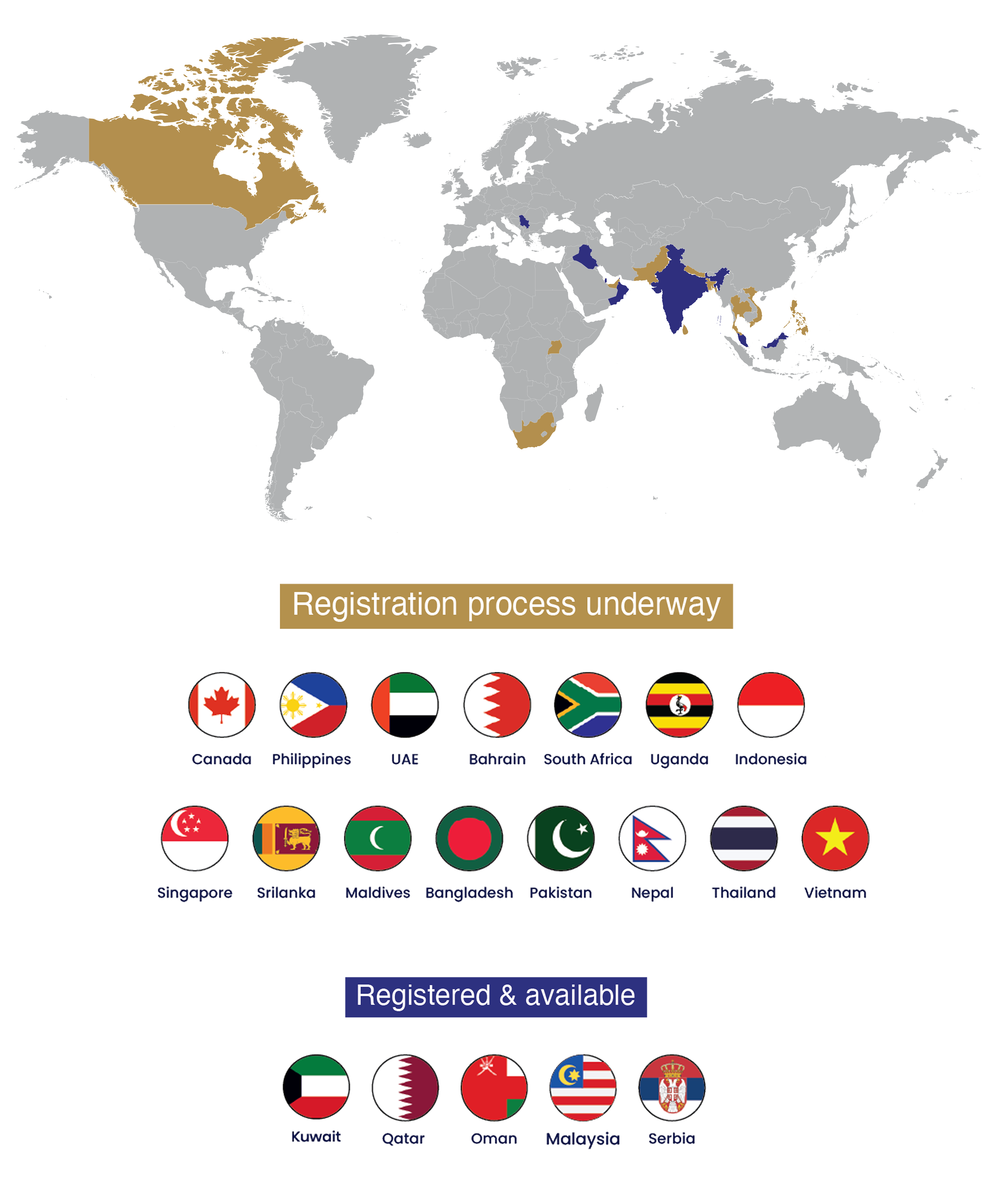 Global Map